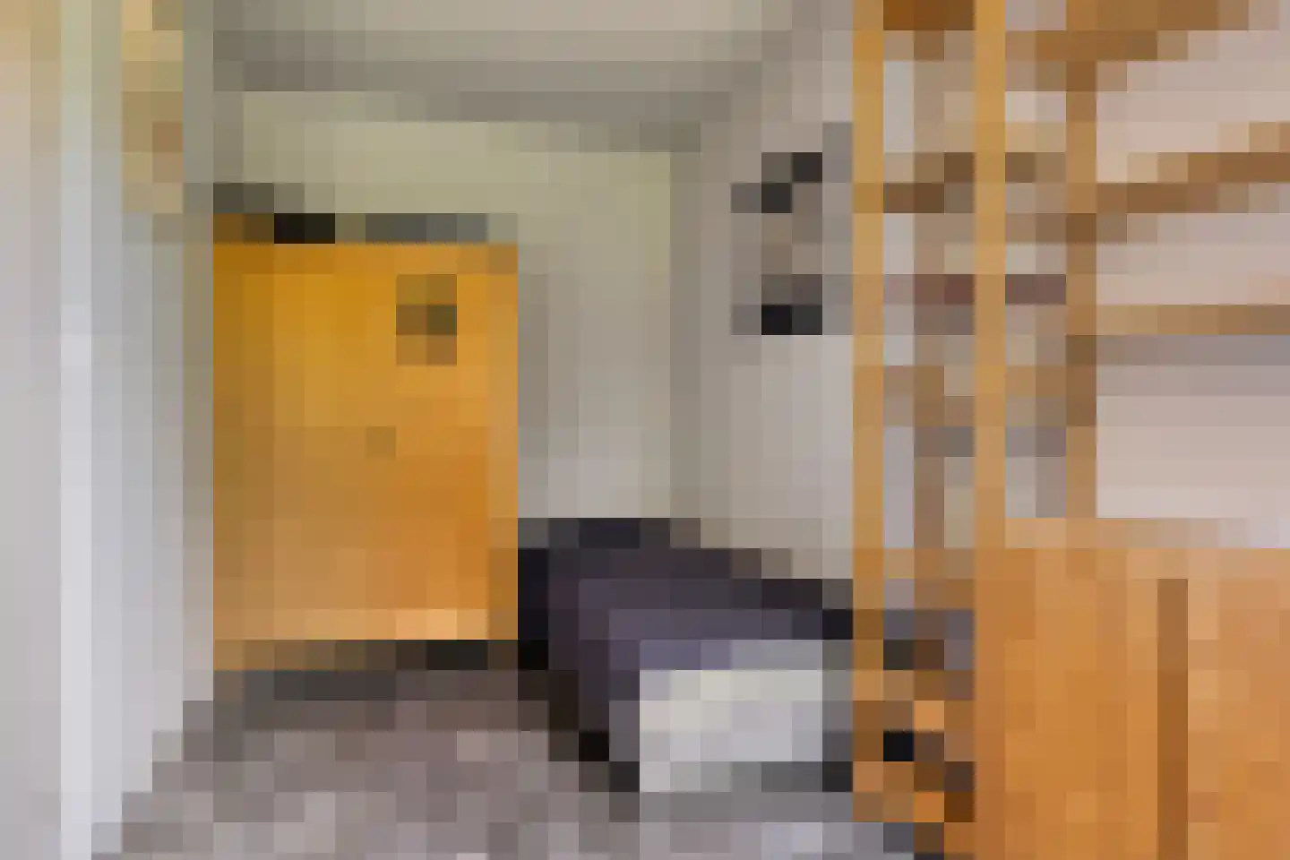 Andoorn 27 Rotterdam thumbnail 21