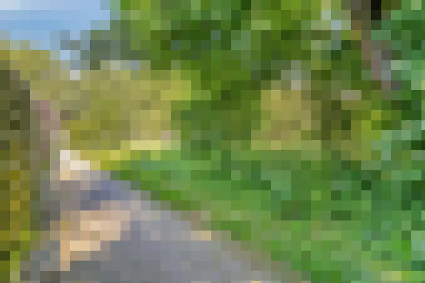 Andoorn 27 Rotterdam thumbnail 23