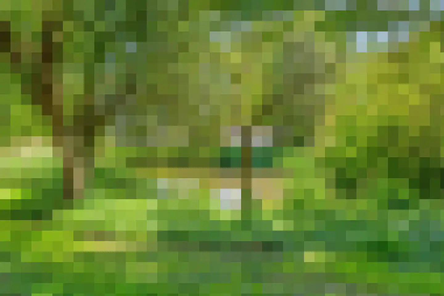Andoorn 27 Rotterdam thumbnail 30