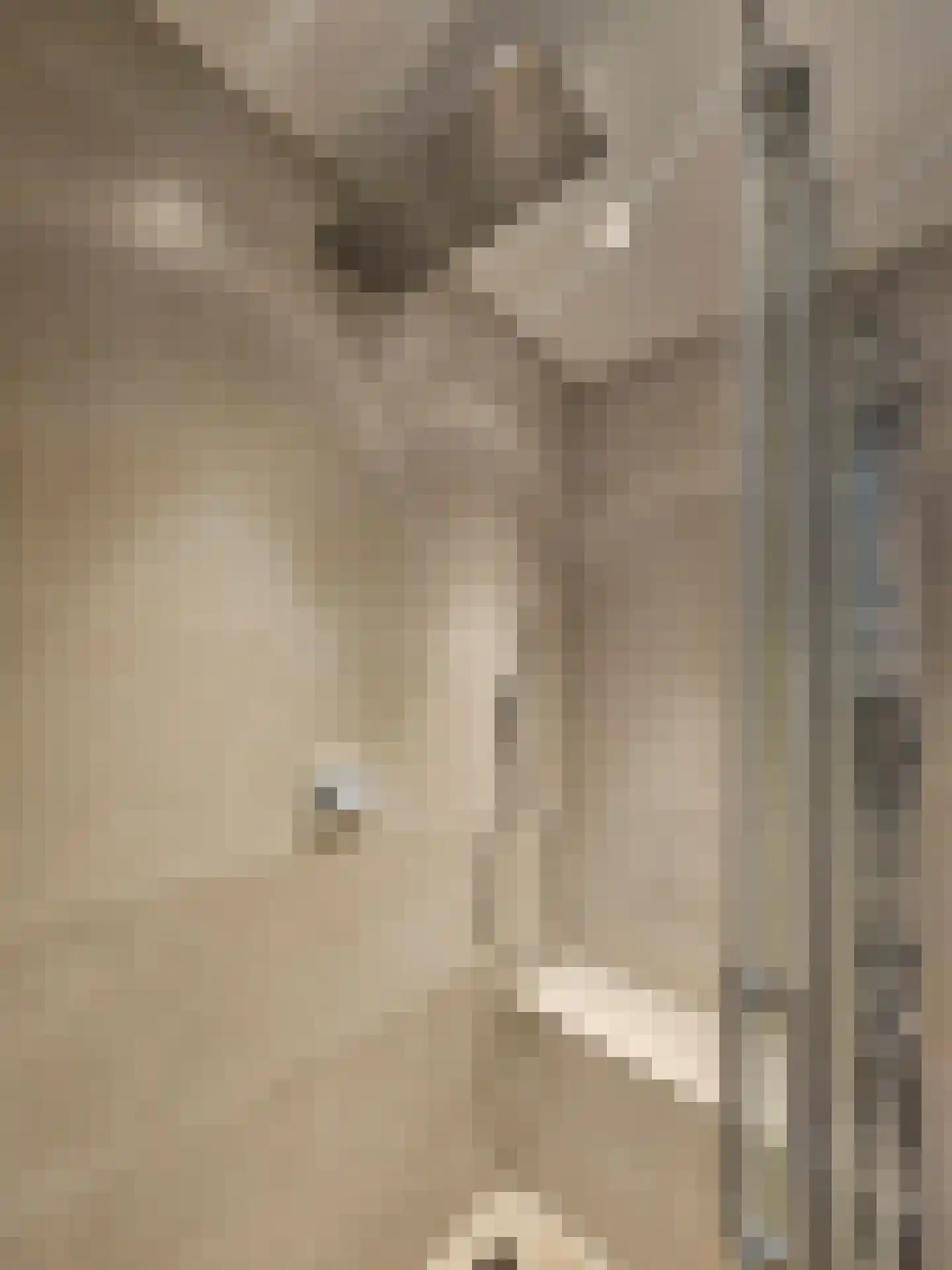 Andoorn 27 Rotterdam thumbnail 4