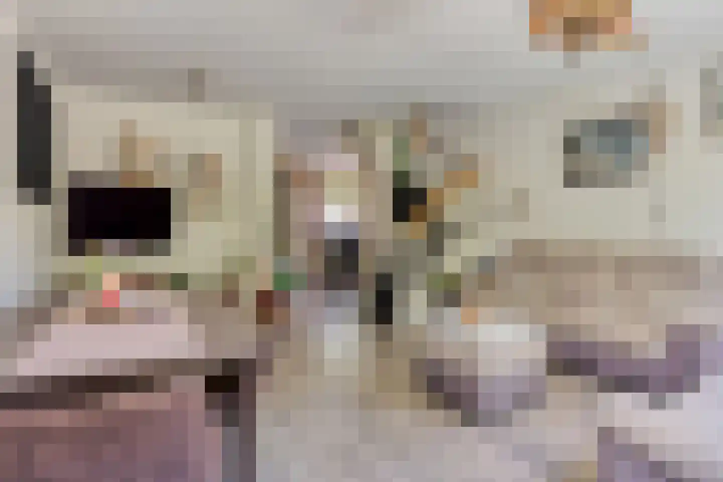 Andoorn 27 Rotterdam thumbnail 6