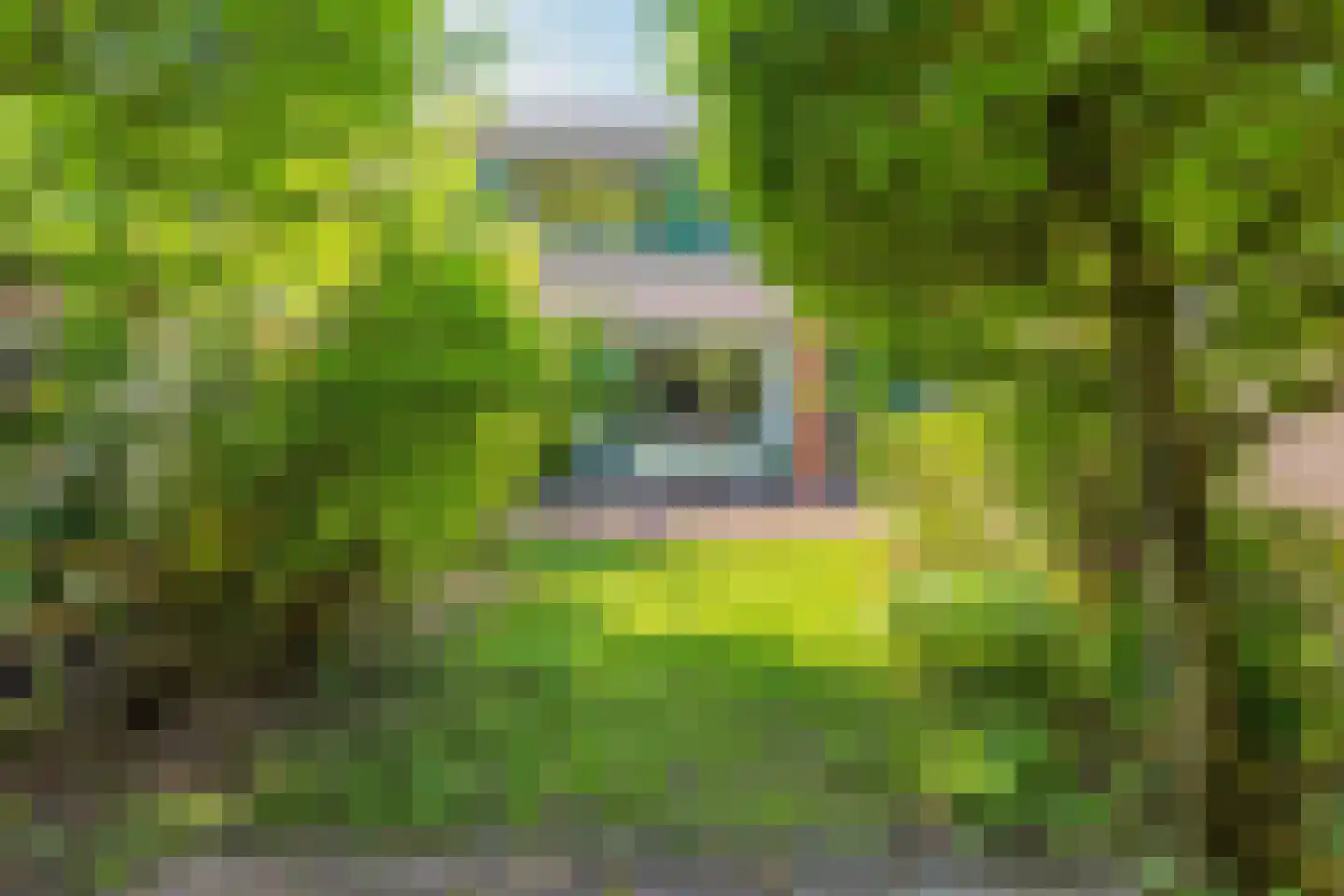 Andoorn 27 Rotterdam thumbnail 8