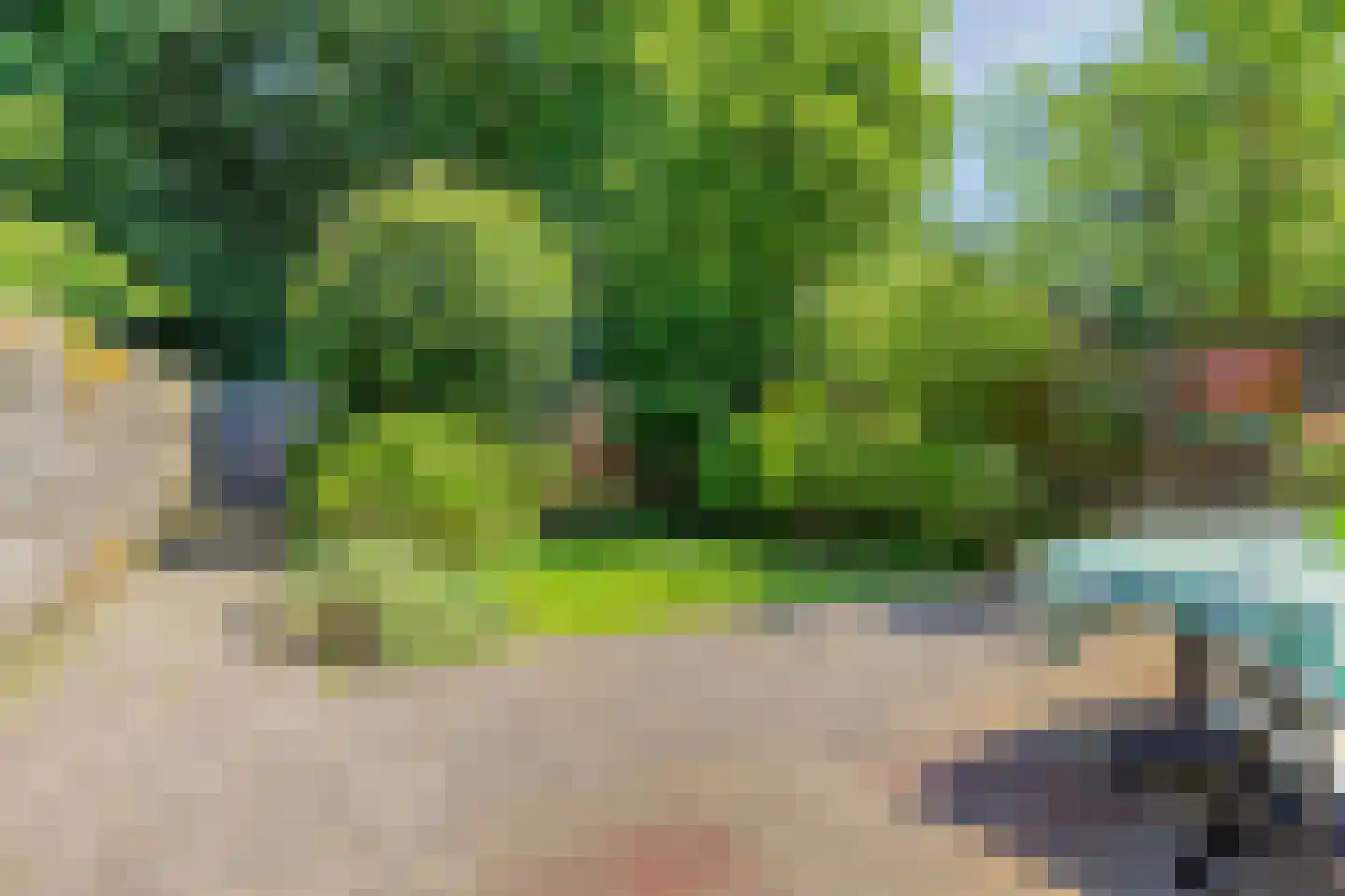 Andoorn 27 Rotterdam thumbnail 9