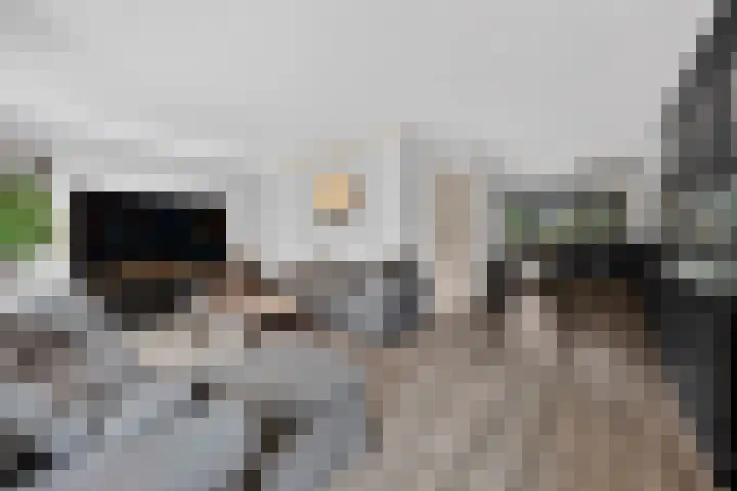 Andoorn 32 Klazienaveen thumbnail 10