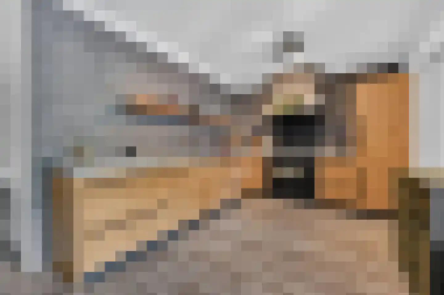 Andoorn 32 Klazienaveen thumbnail 13