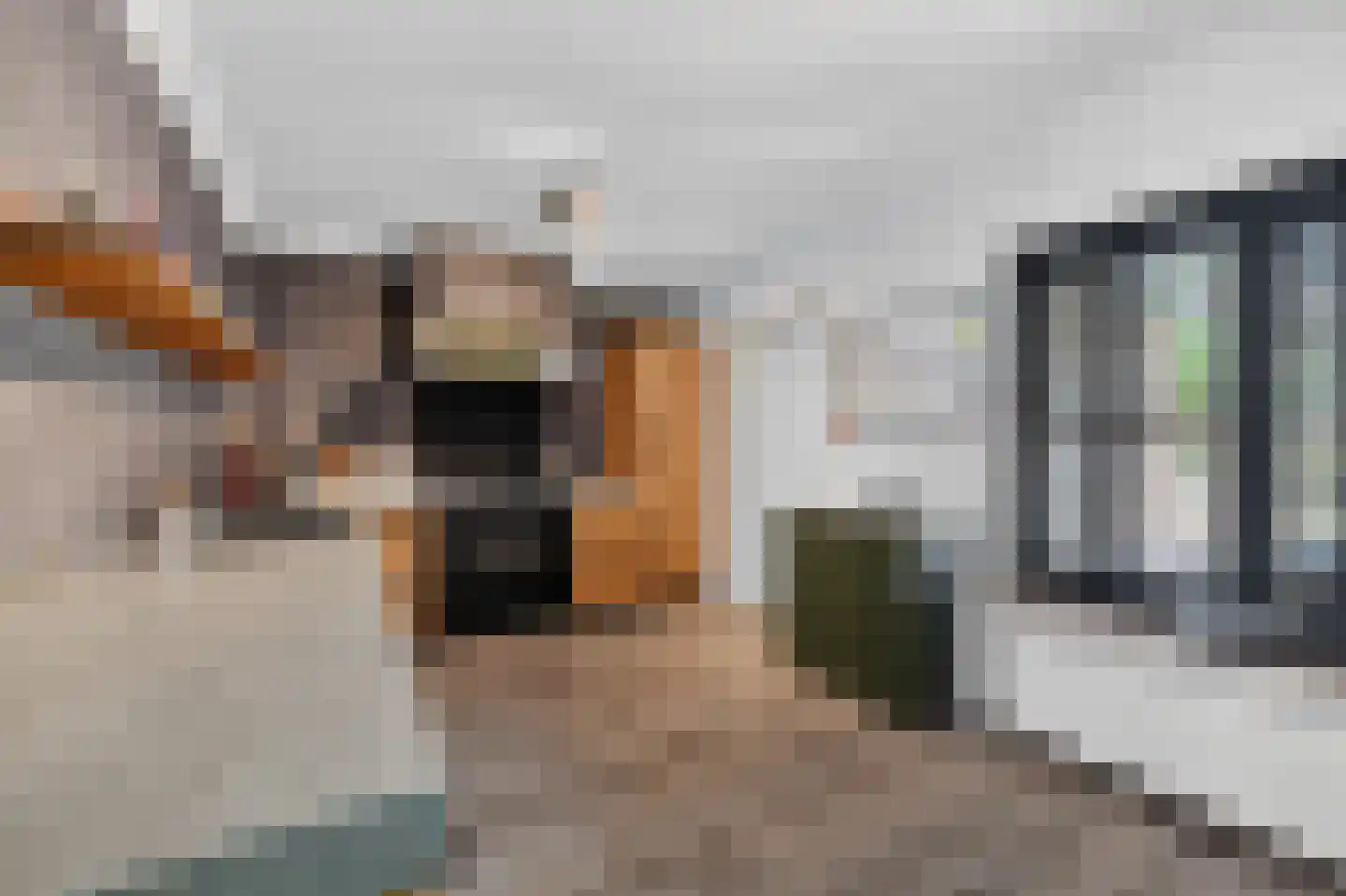 Andoorn 32 Klazienaveen thumbnail 14