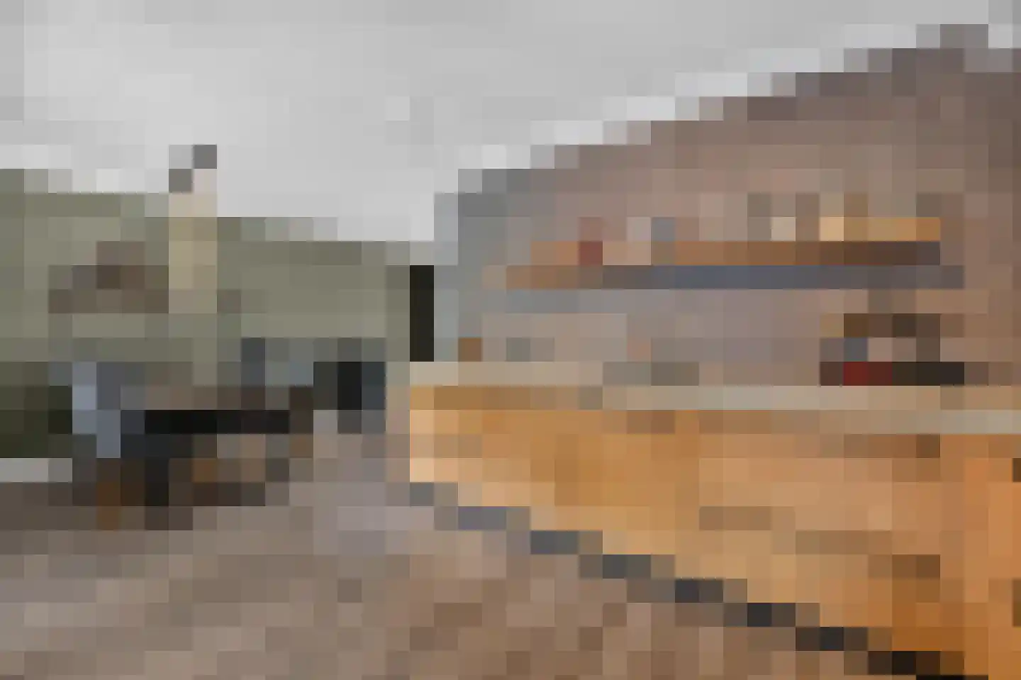 Andoorn 32 Klazienaveen thumbnail 16
