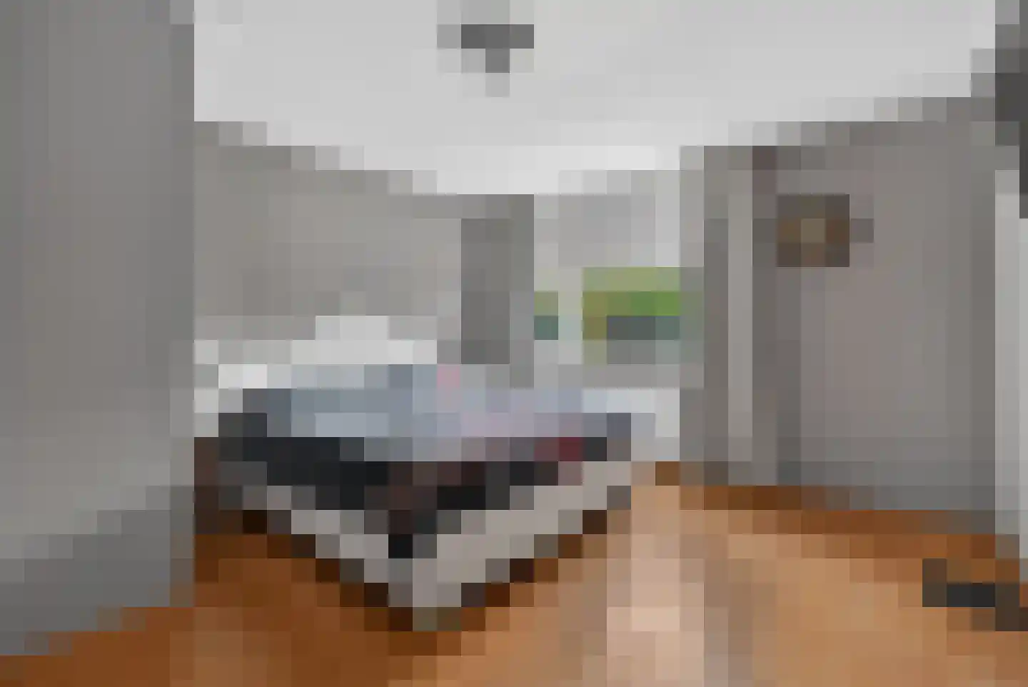 Andoorn 32 Klazienaveen thumbnail 20