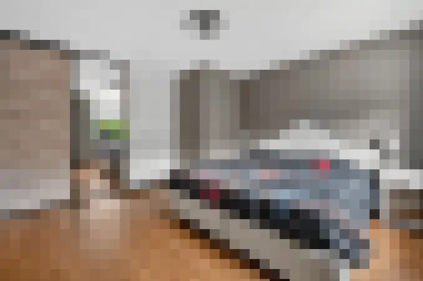 Andoorn 32 Klazienaveen thumbnail 21