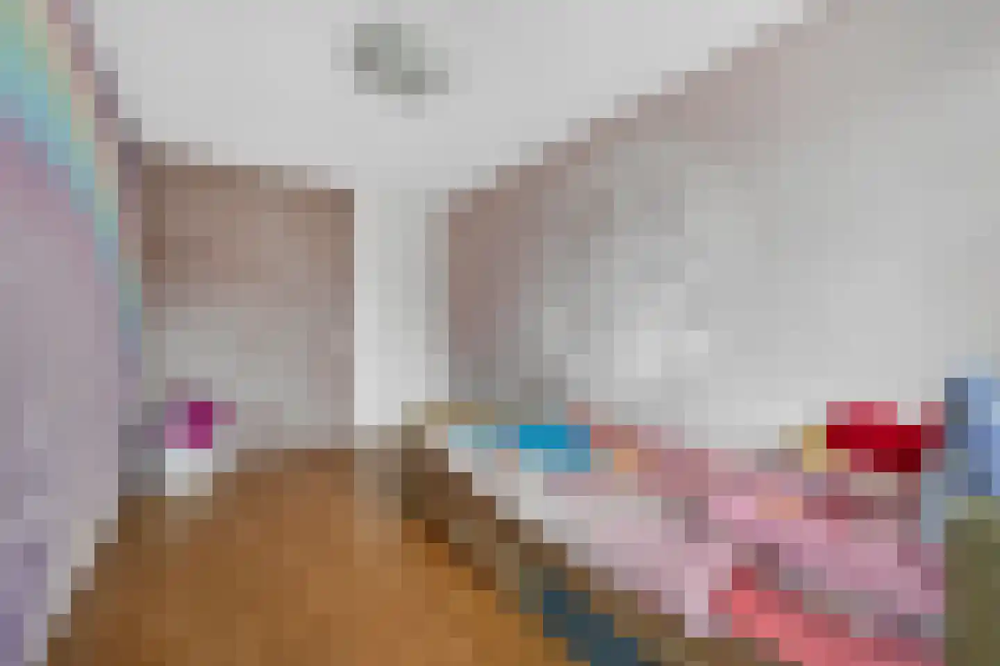Andoorn 32 Klazienaveen thumbnail 25