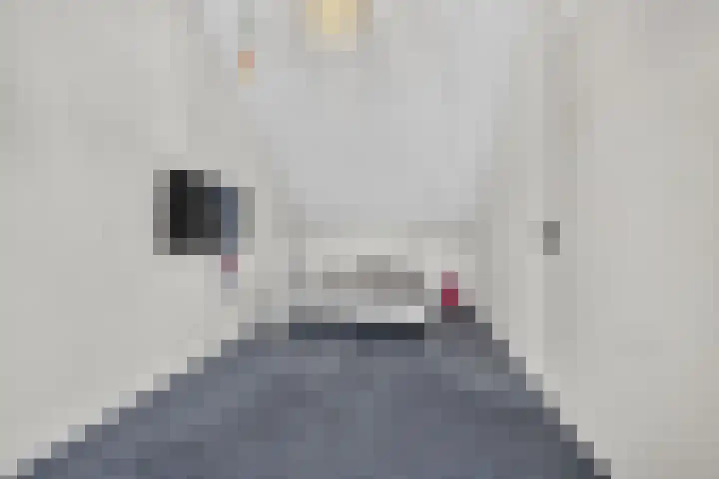 Andoorn 32 Klazienaveen thumbnail 31
