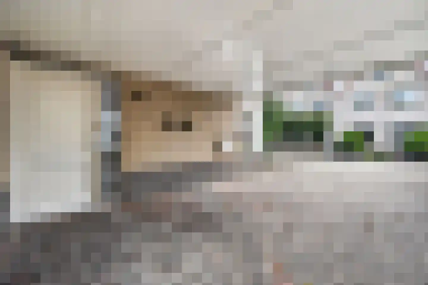 Andoorn 32 Klazienaveen thumbnail 35
