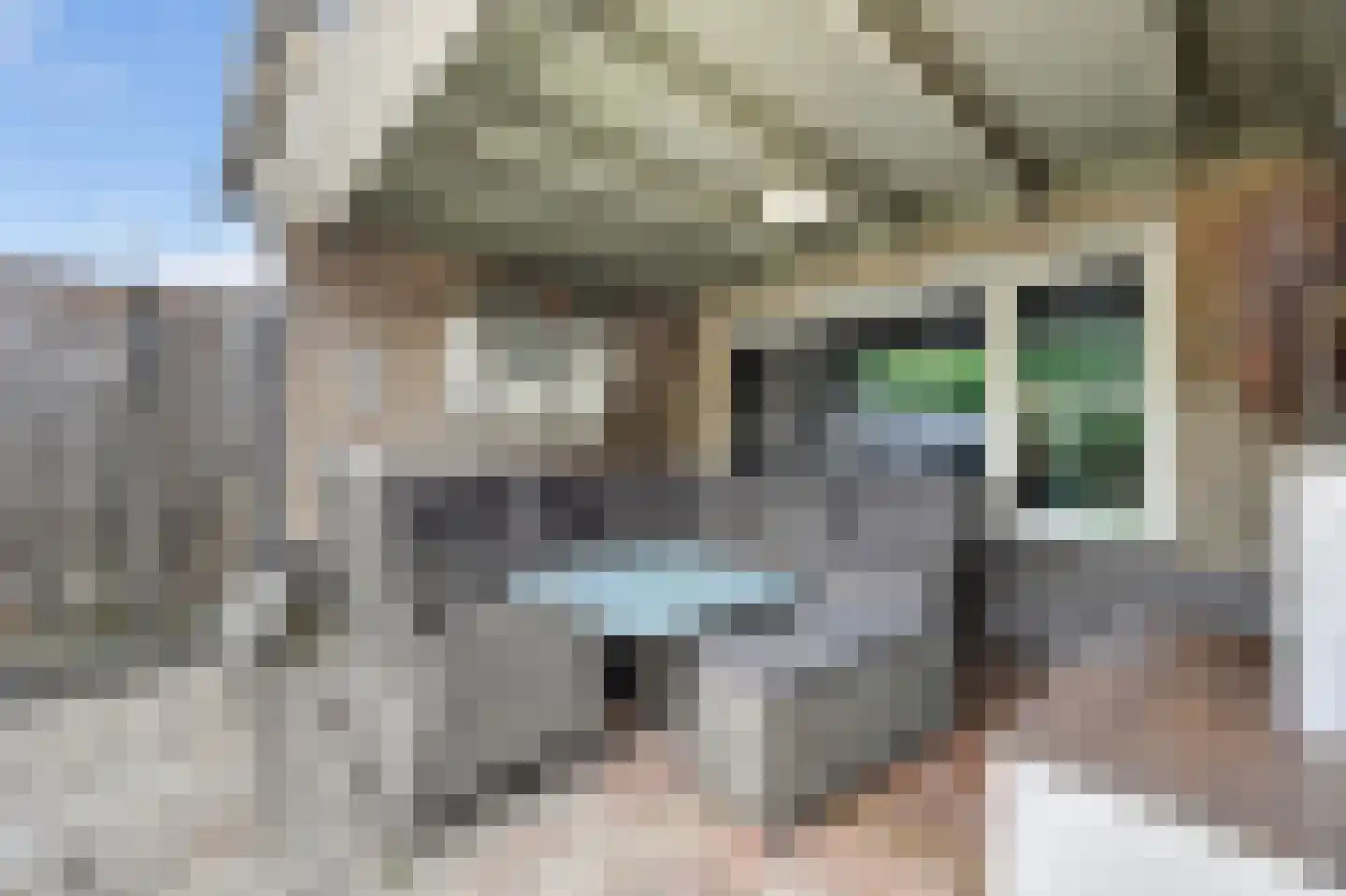 Andoorn 32 Klazienaveen thumbnail 37