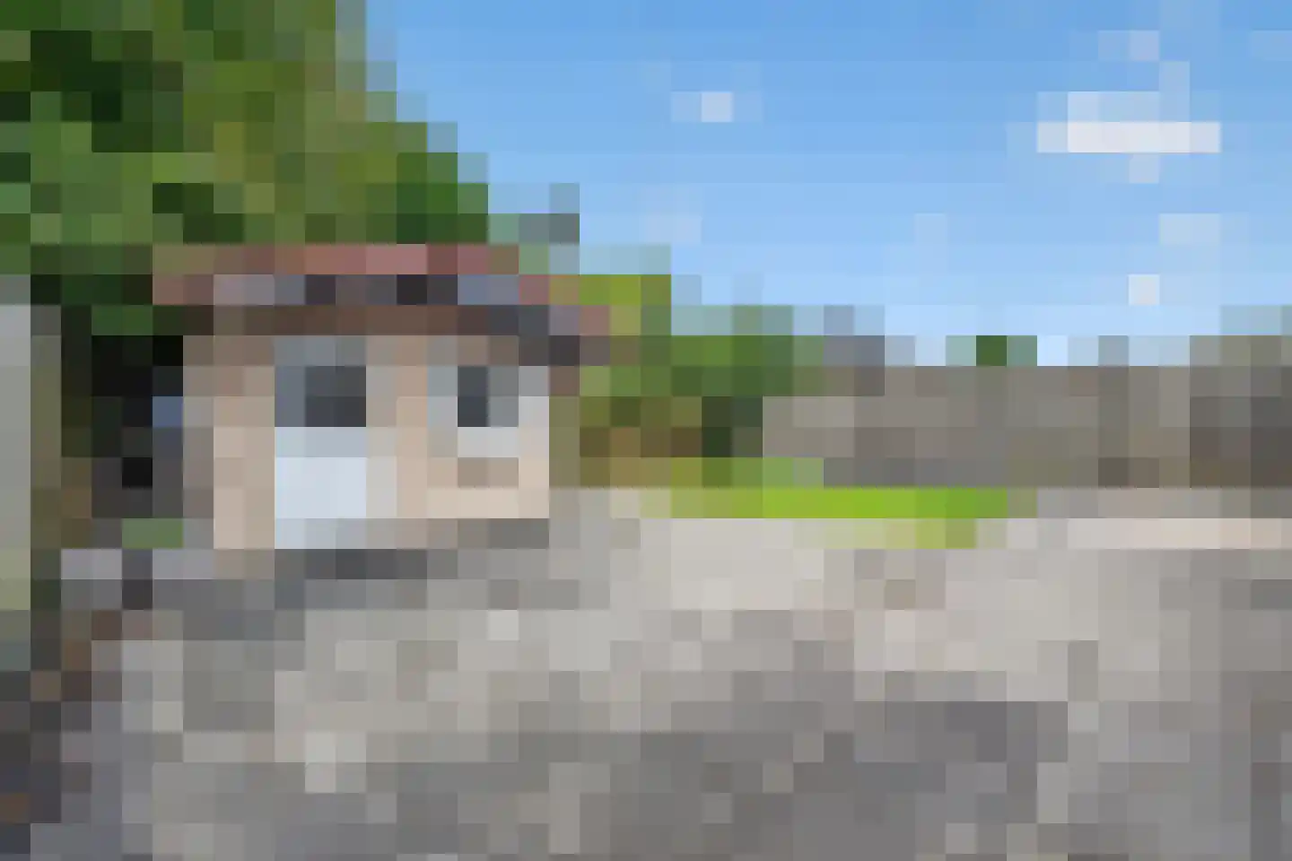 Andoorn 32 Klazienaveen thumbnail 39