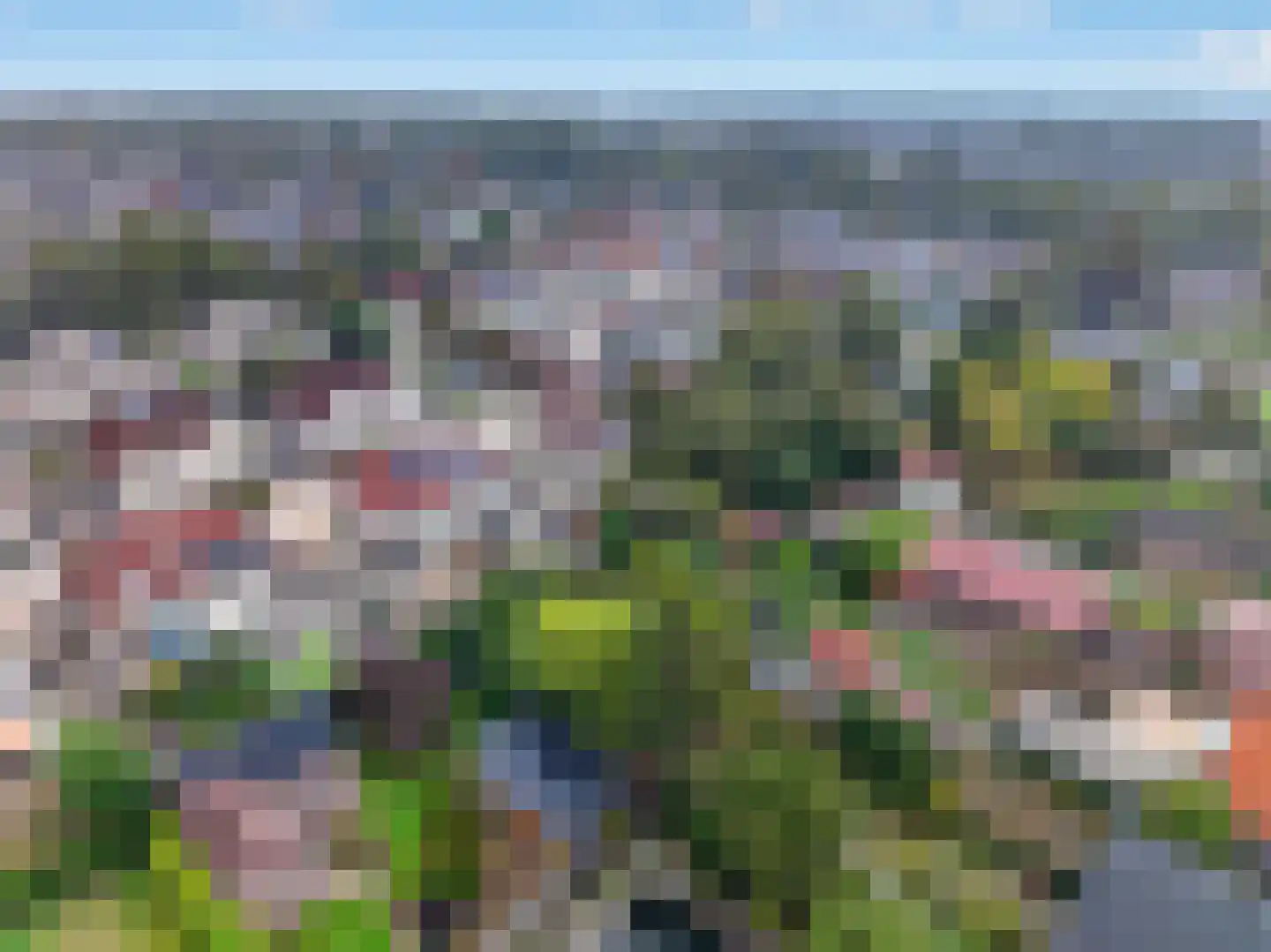 Andoorn 32 Klazienaveen thumbnail 42