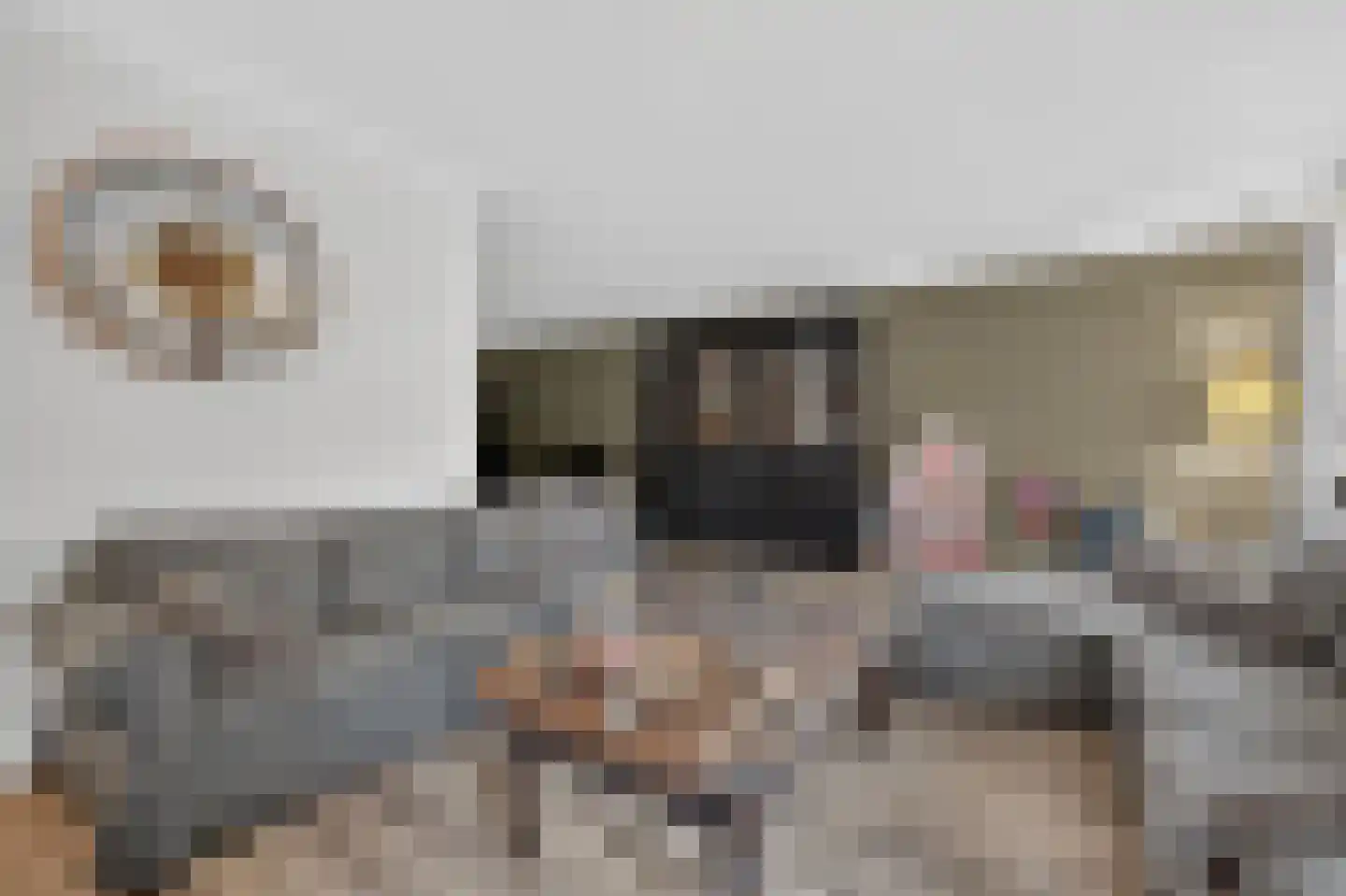 Andoorn 32 Klazienaveen thumbnail 9