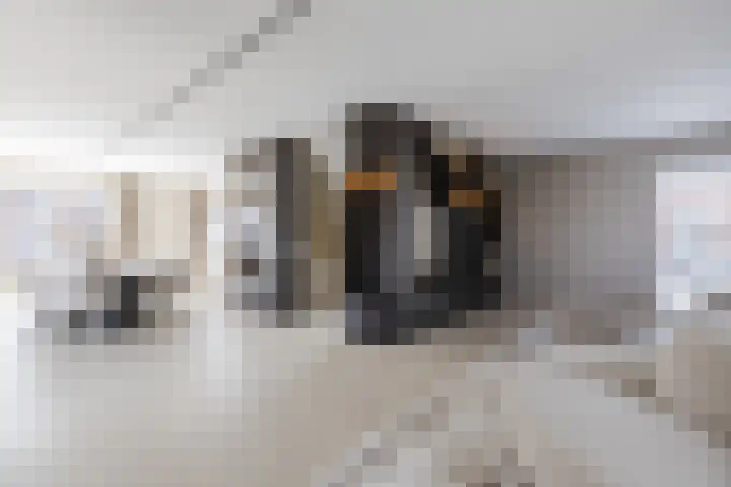 Andoorn 33 Assendelft thumbnail 10