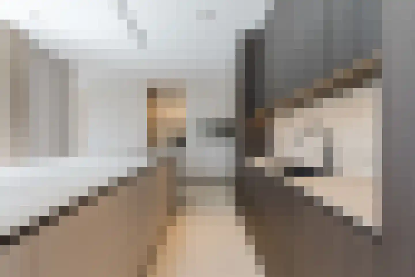 Andoorn 33 Assendelft thumbnail 12