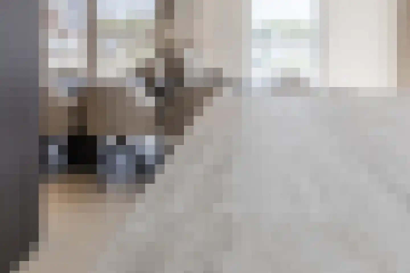 Andoorn 33 Assendelft thumbnail 23