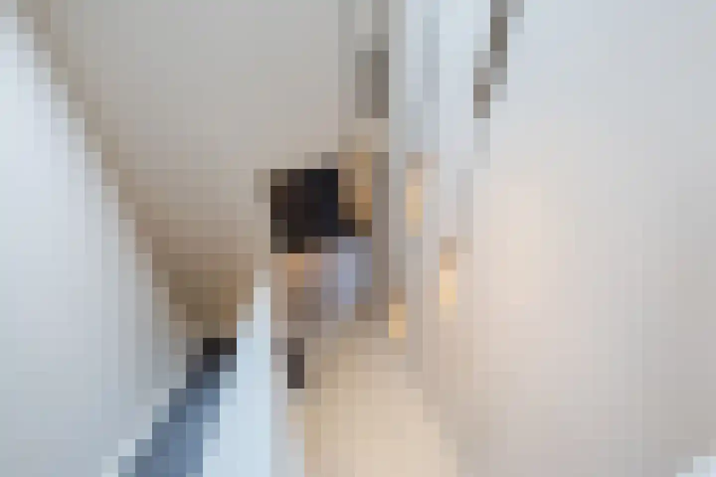 Andoorn 33 Assendelft thumbnail 28