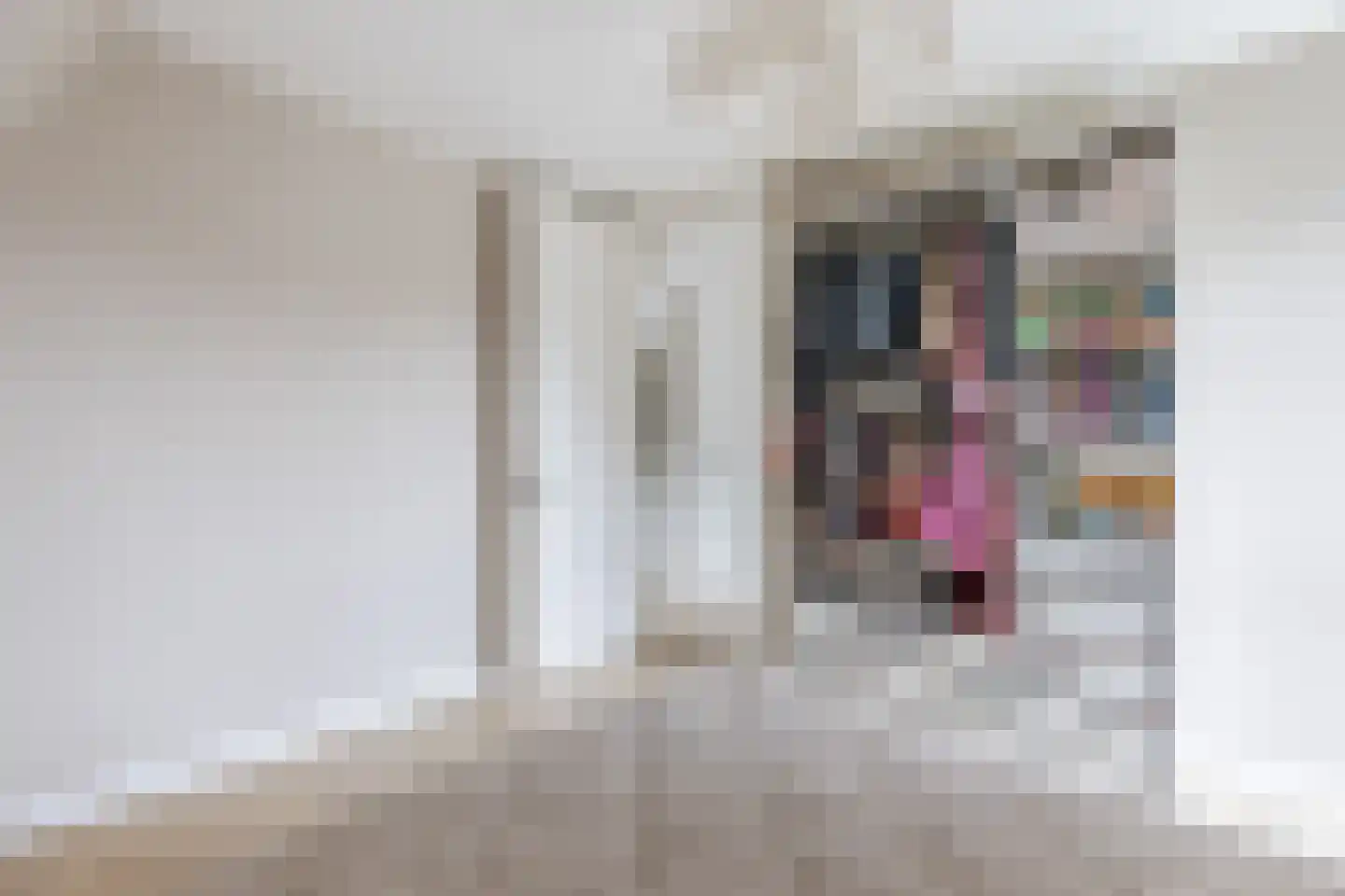 Andoorn 33 Assendelft thumbnail 34