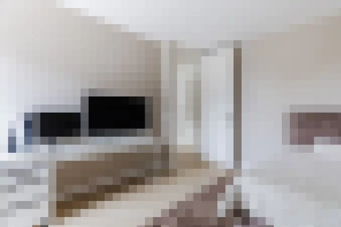 Andoorn 33 Assendelft thumbnail 38