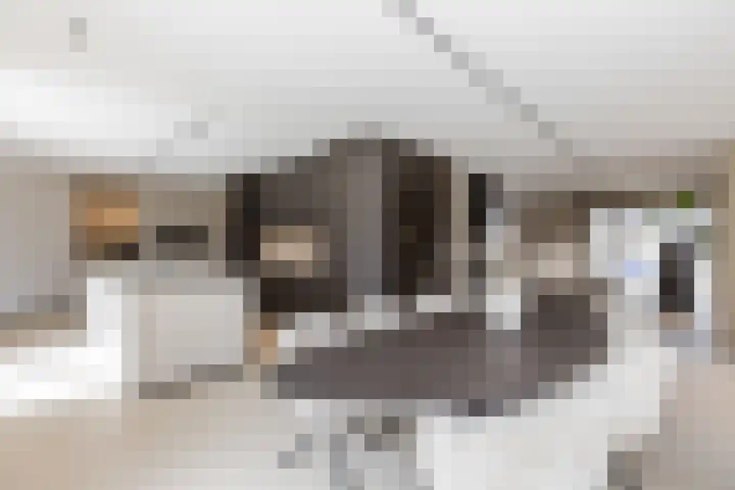Andoorn 33 Assendelft thumbnail 4