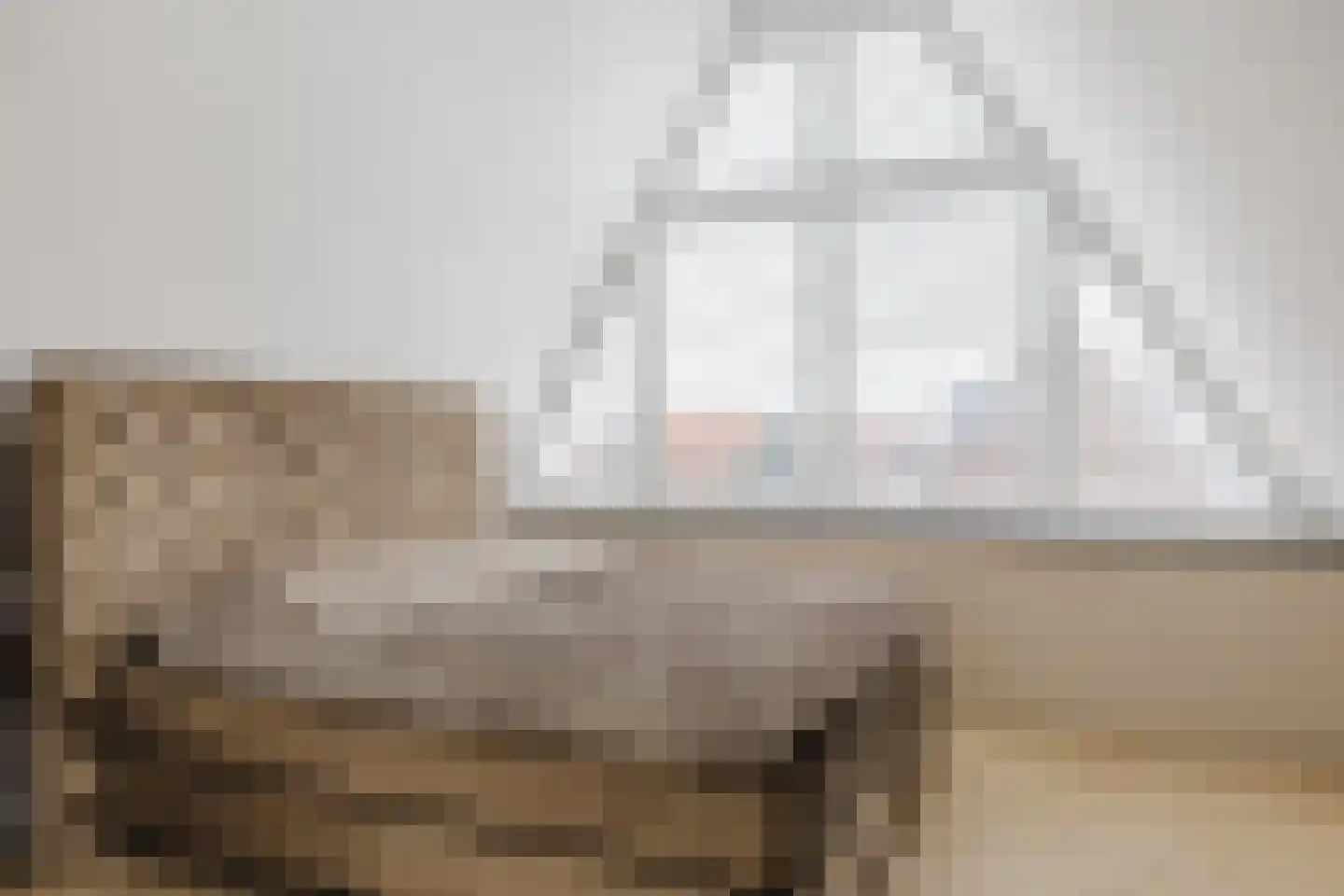Andoorn 33 Assendelft thumbnail 46