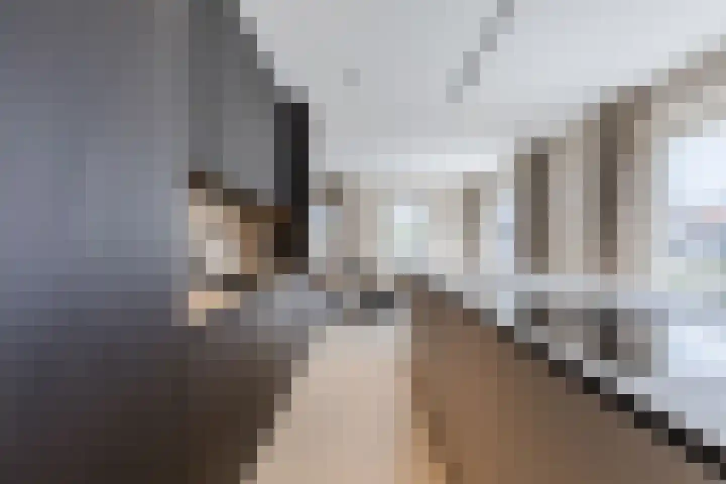 Andoorn 33 Assendelft thumbnail 5