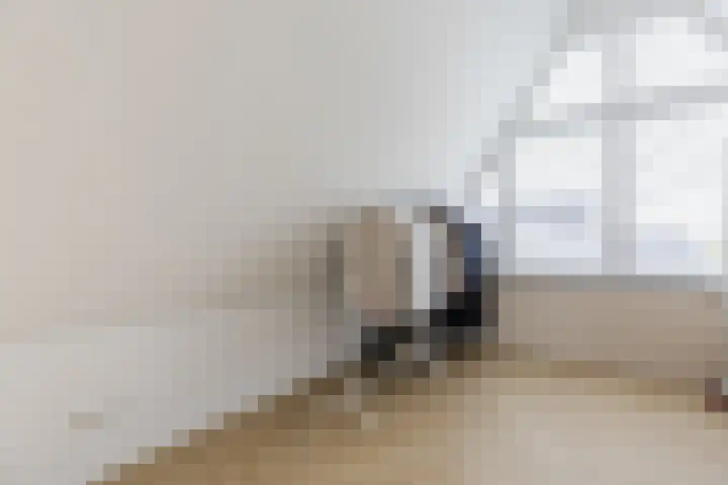 Andoorn 33 Assendelft thumbnail 50