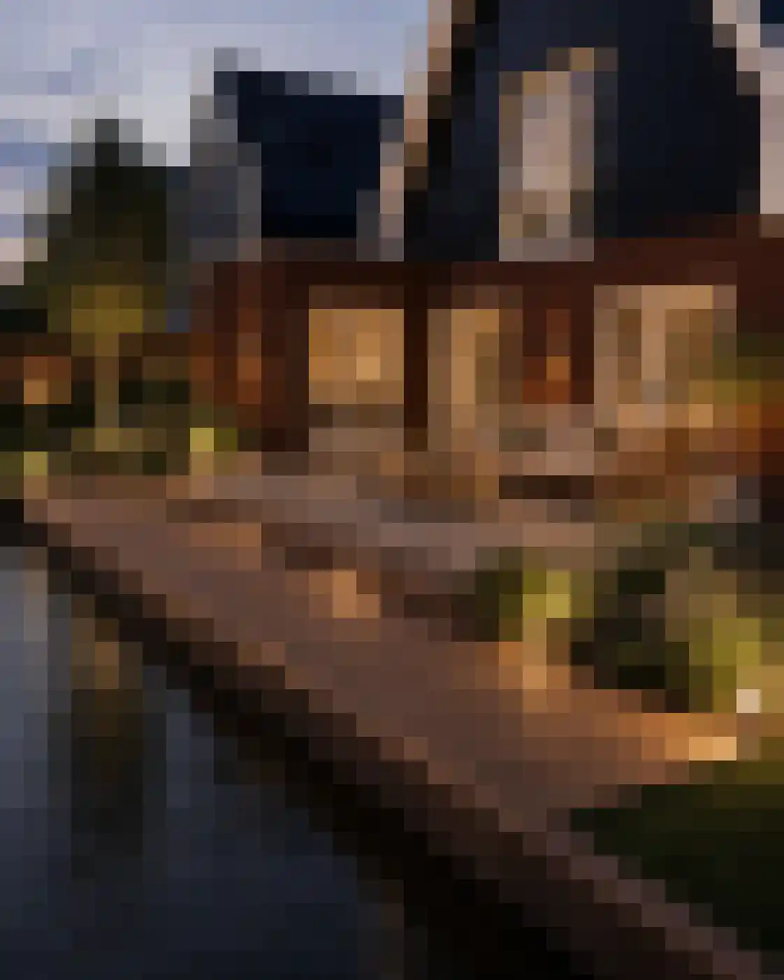 Andoorn 33 Assendelft thumbnail 55