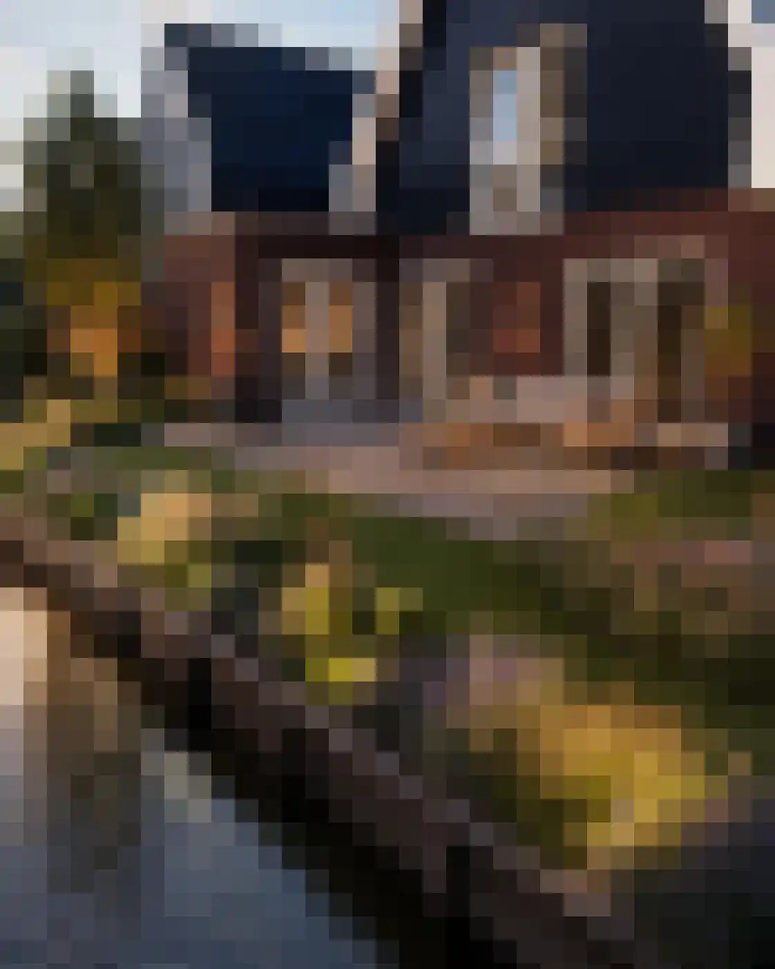 Andoorn 33 Assendelft thumbnail 56
