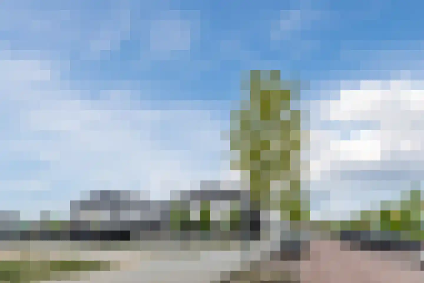Andoorn 33 Assendelft thumbnail 59