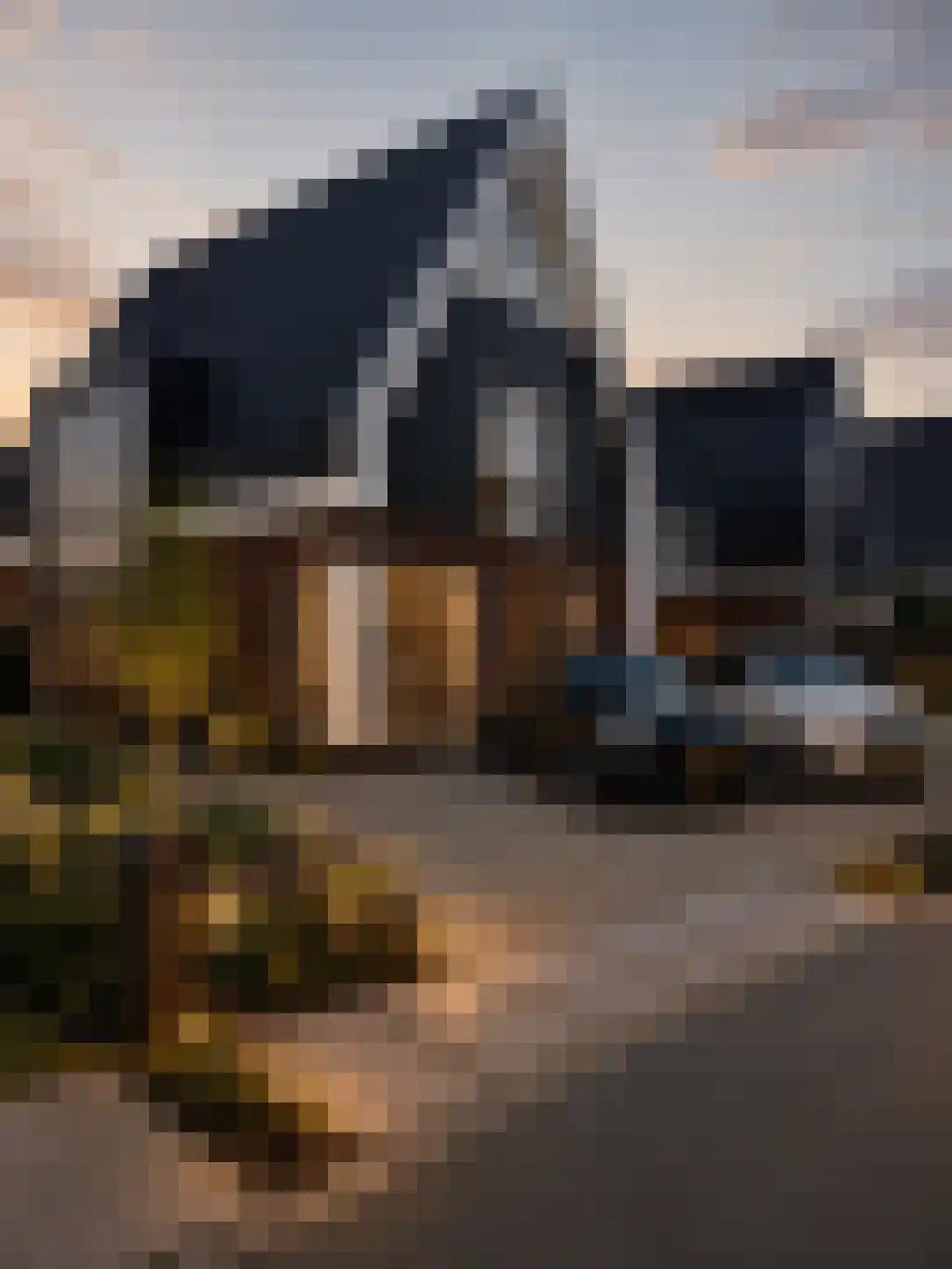 Andoorn 33 Assendelft thumbnail 61
