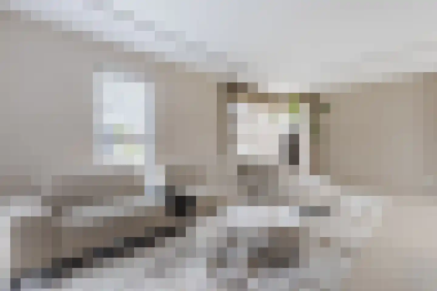 Andoorn 33 Assendelft thumbnail 8