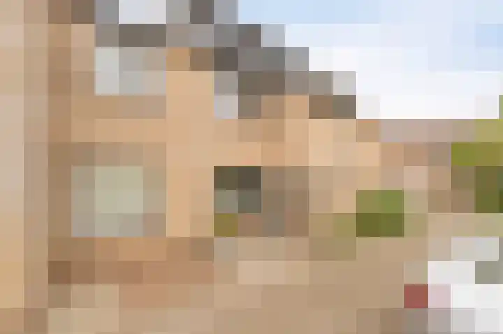 Andoorn 34 Kampen thumbnail 11