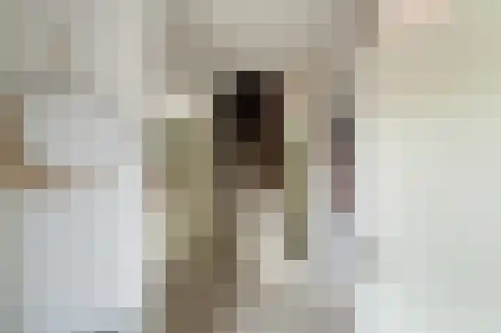 Andoorn 34 Kampen thumbnail 15