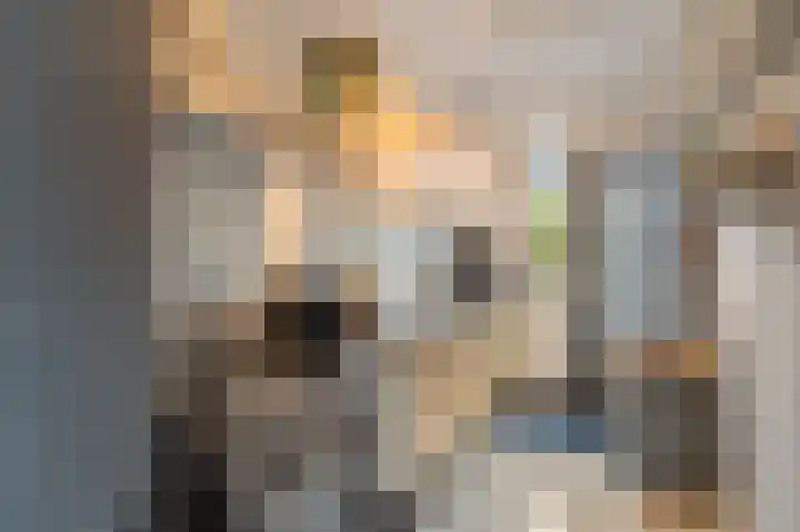 Andoorn 34 Kampen thumbnail 25