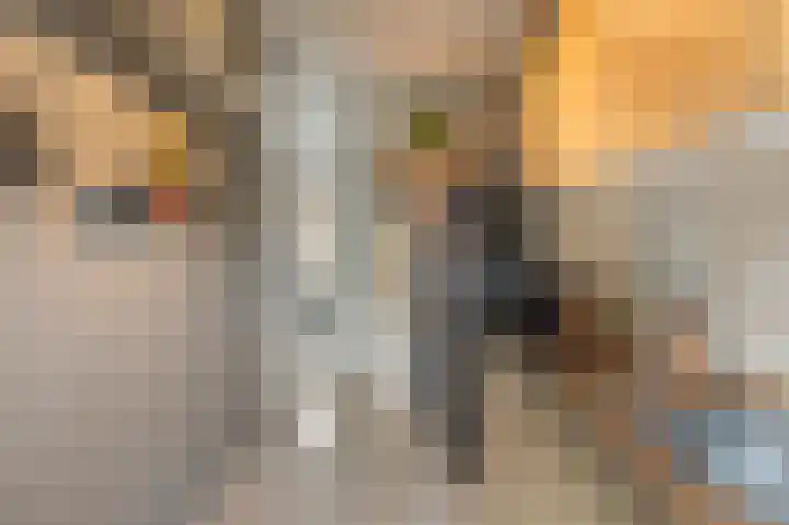Andoorn 34 Kampen thumbnail 27