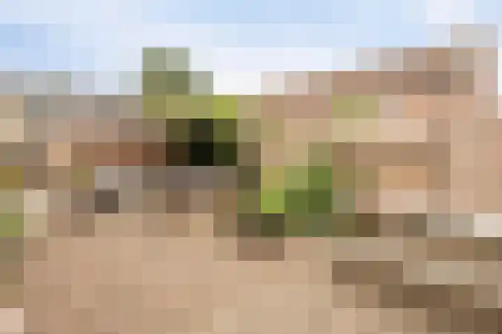 Andoorn 34 Kampen thumbnail 28