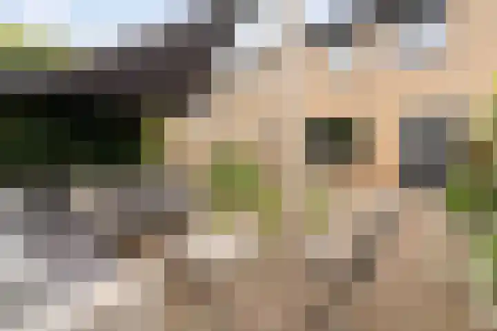 Andoorn 34 Kampen thumbnail 32
