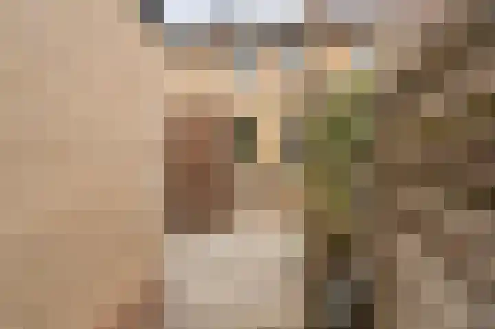 Andoorn 34 Kampen thumbnail 36