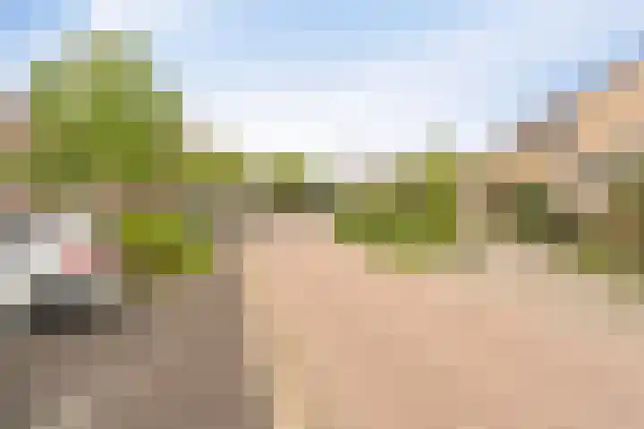 Andoorn 34 Kampen thumbnail 7