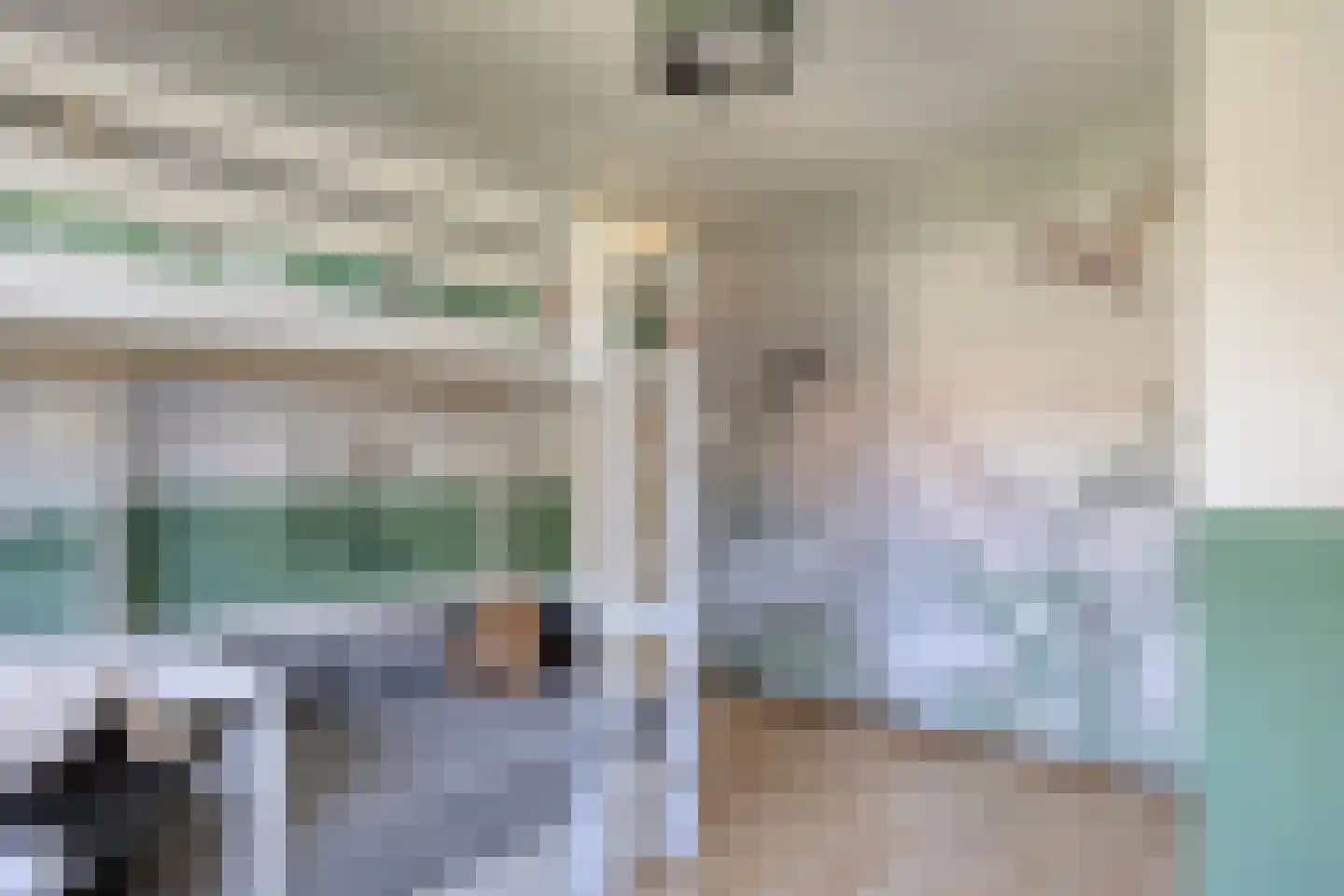 Andoorn 34 Oldenzaal thumbnail 14