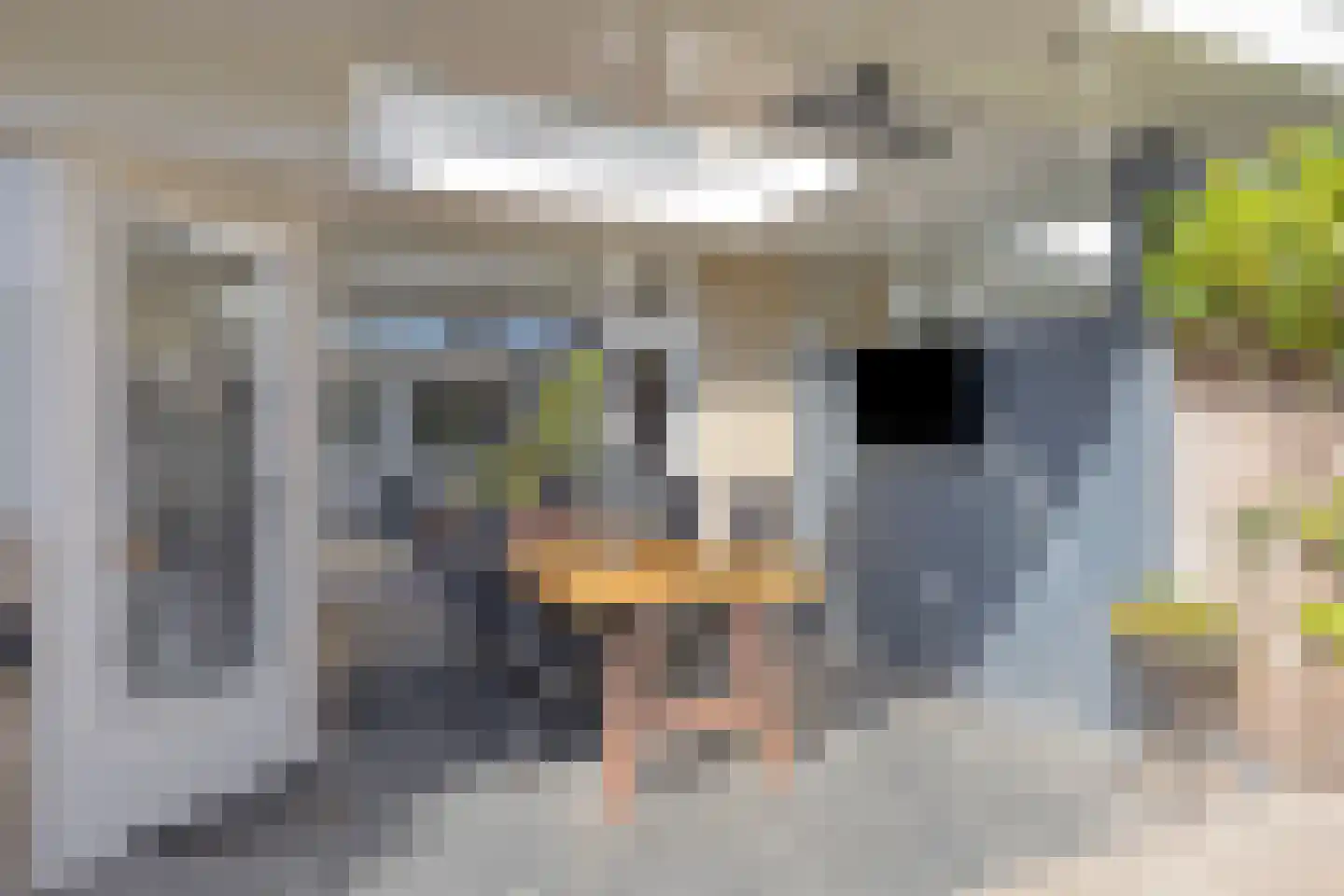 Andoorn 34 Oldenzaal thumbnail 21