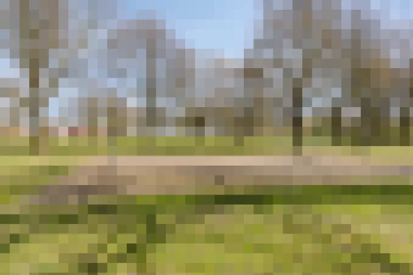 Andoorn 34 Oldenzaal thumbnail 26