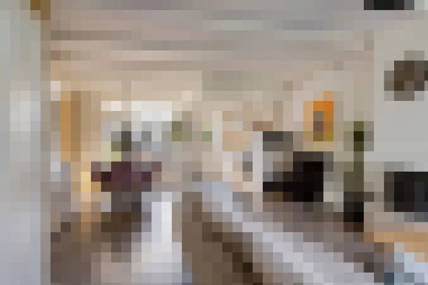 Andoorn 34 Oldenzaal thumbnail 5