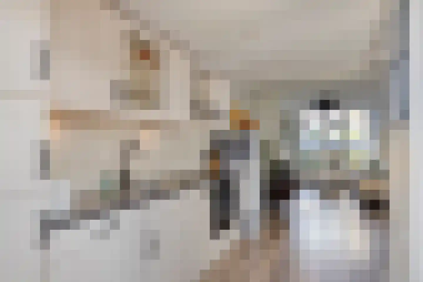 Andoorn 34 Oldenzaal thumbnail 8