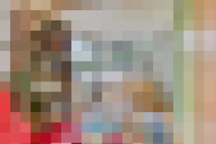 Andoorn 35 Oldenzaal thumbnail 16