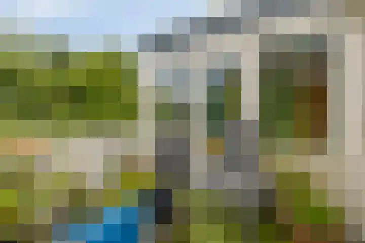 Andoorn 35 Oldenzaal thumbnail 18